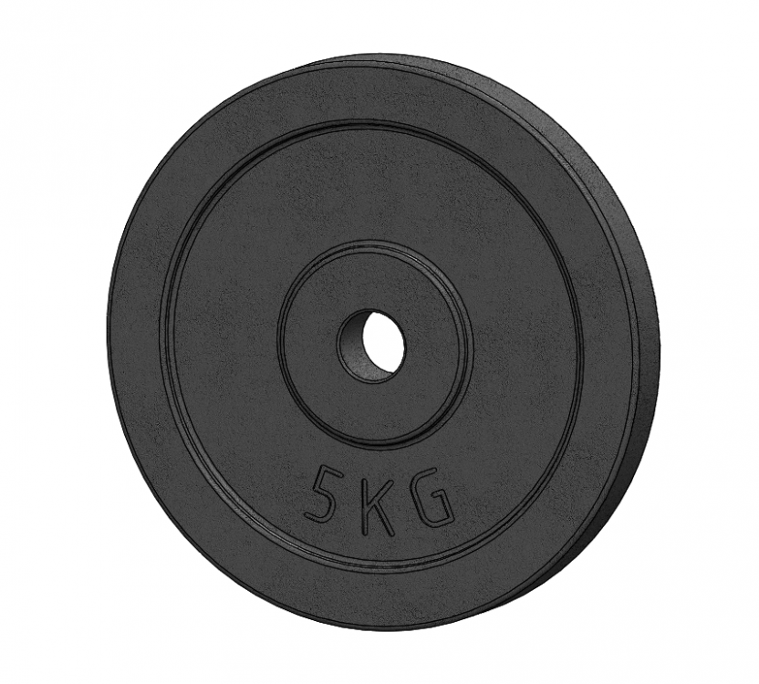 Obrázek k výrobku 1809 - Litinový kotouč 5 kg, otvor 25 mm